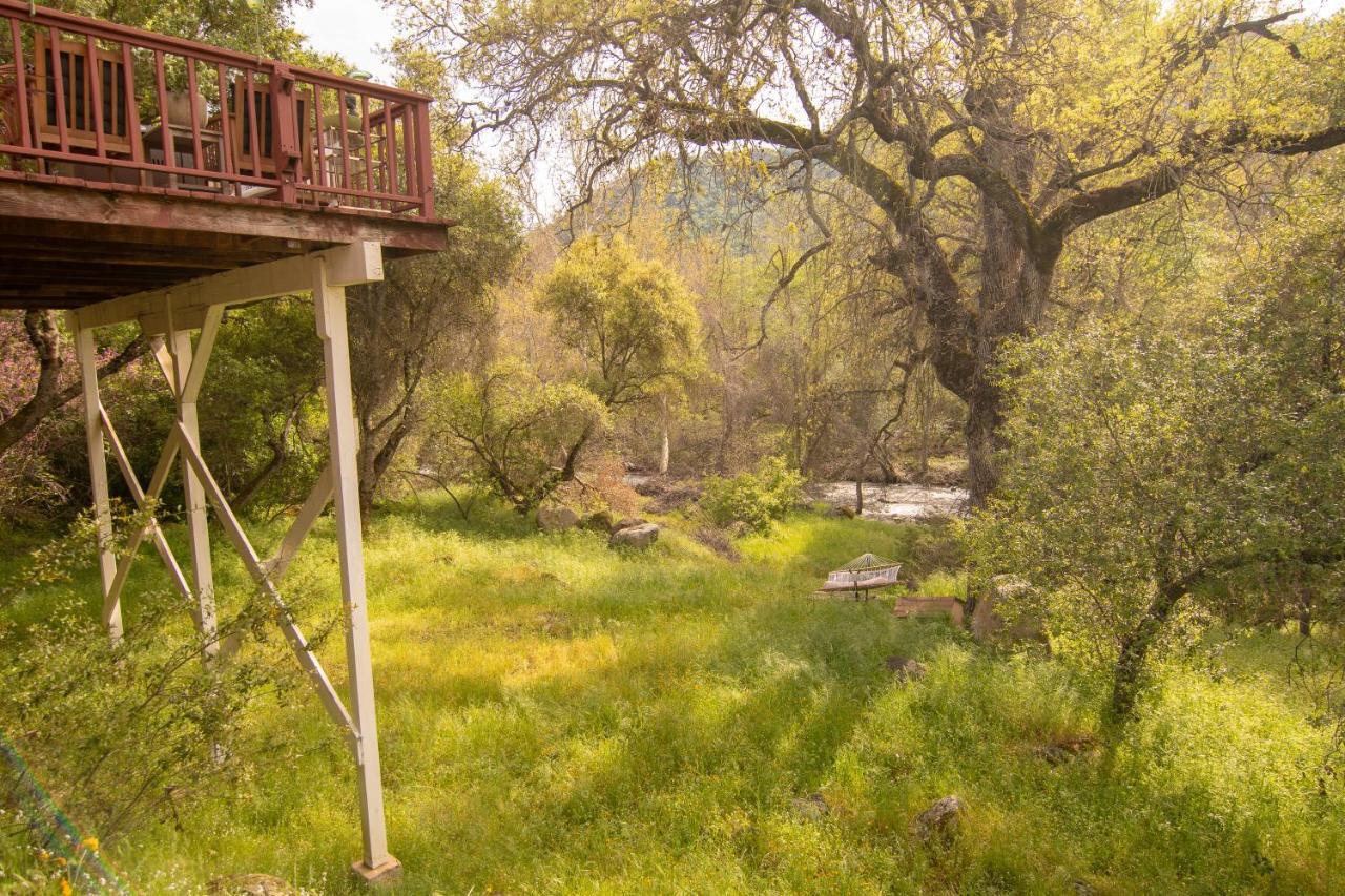 Sequoia South Fork Retreat Villa Three Rivers Bagian luar foto